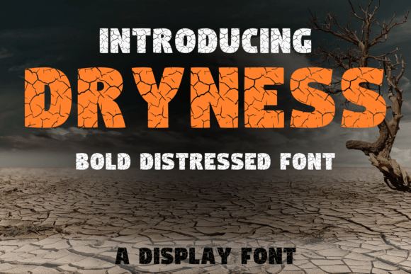 Dryness Font Review: A Unique Display Type for Designers